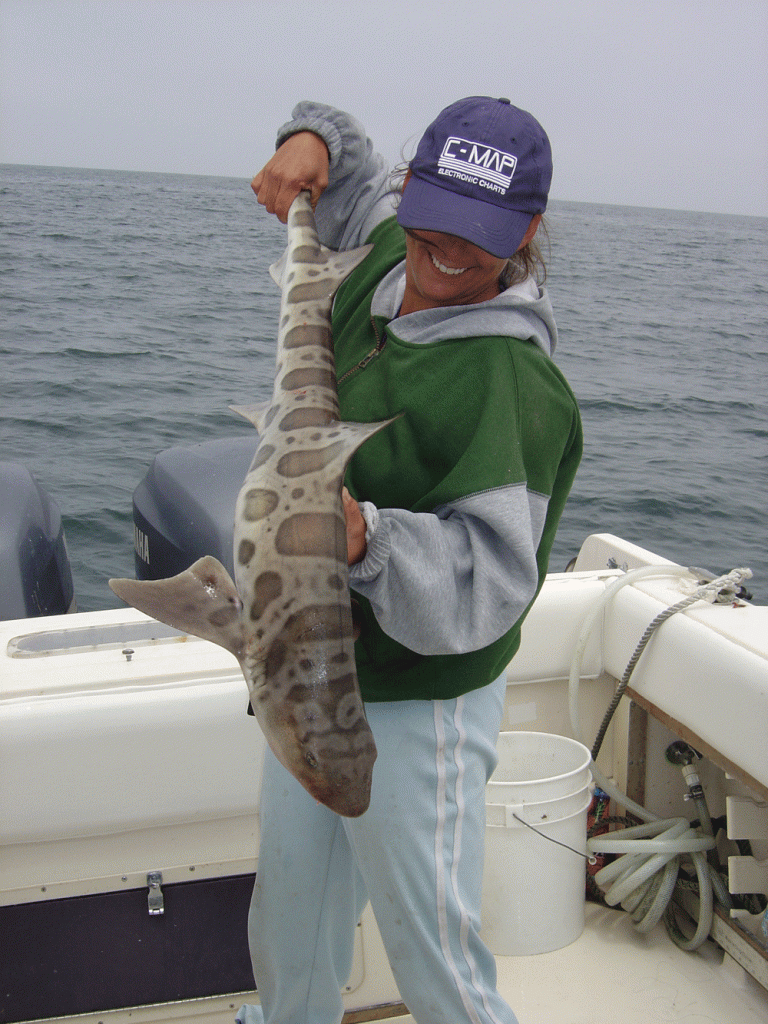Capt. Tiffany Vague shows off a beautiful leopard shark. (Courtesy photo)