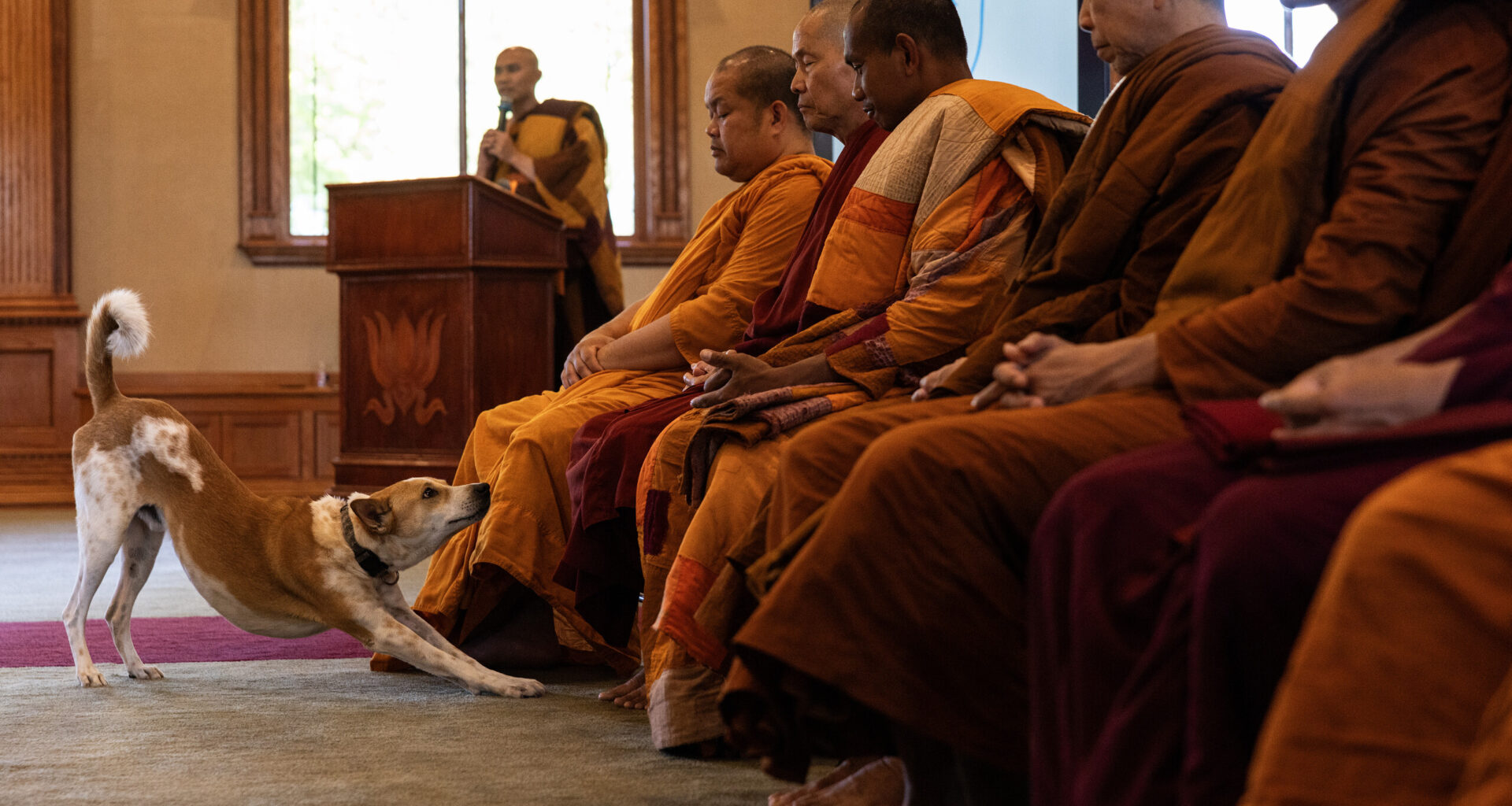 Fort Worth Buddhist monks to embark on 2,300 mile nationwide Walk for Peace