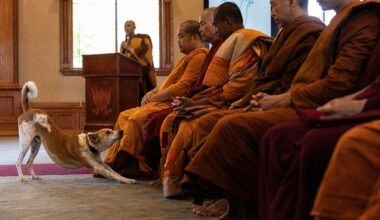 Fort Worth Buddhist monks to embark on 2,300 mile nationwide Walk for Peace