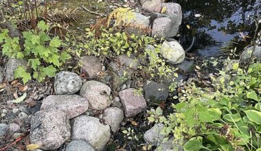 Can you spot the little brown bird in this photo?