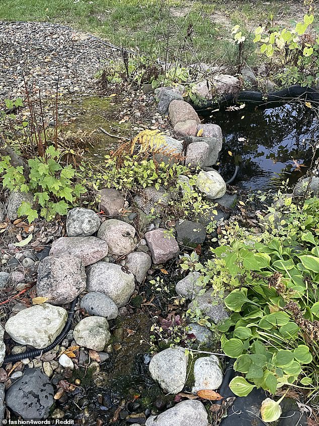 Can you spot the little brown bird in this photo?