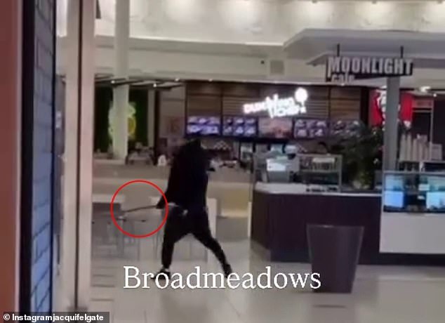 His comments come one day after another machete brawl at a Broadmeadows Central