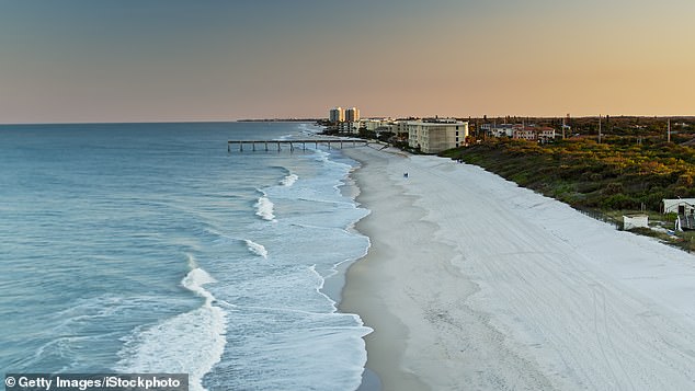 The team studied 20 dolphins stranded on the shores of Florida 's Indian River Lagoon, finding they all had signs of Alzheimer's