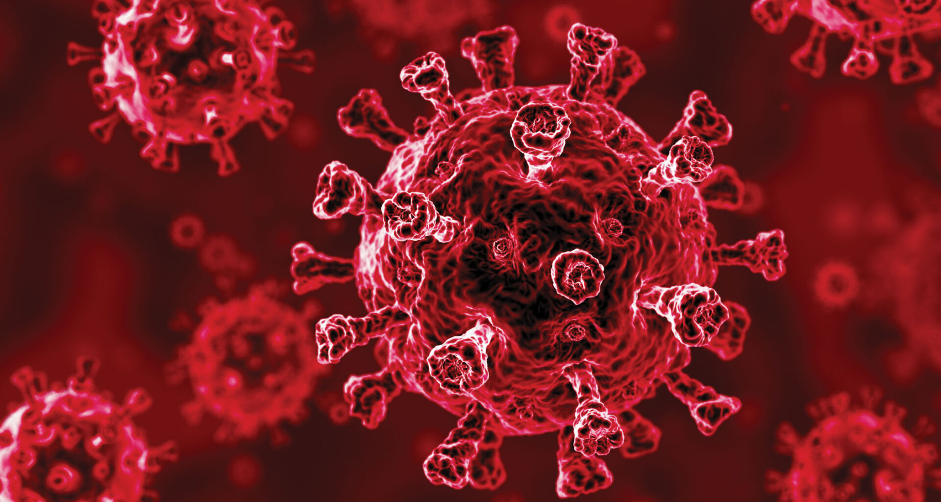 Experts feared a disease rebound after COVID-19. It didn’t happen.