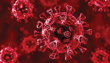 Experts feared a disease rebound after COVID-19. It didn’t happen.