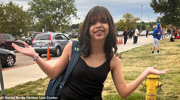 The family of 13-year-old Juliana Peralta filed a lawsuit against Character.AI after she confided in the chat bot that she planned to take her own life, according to their complaint