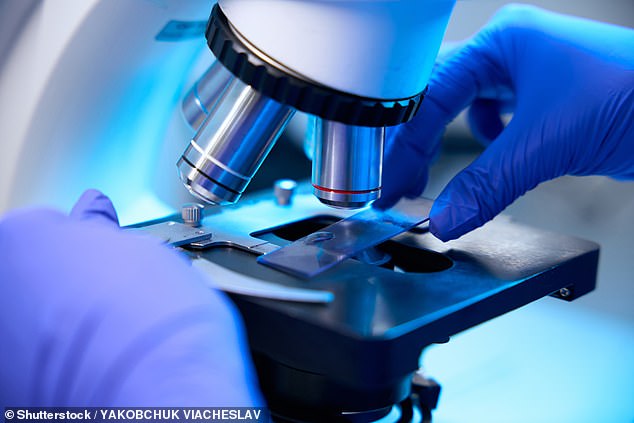 Bio-age is currently measured using complex research tools. Growing interest in the concept means it is a rapidly expanding field, with scientists working on improved methods