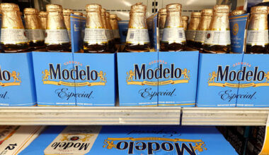 Constellation Brands (STZ) Q2 2026 earnings