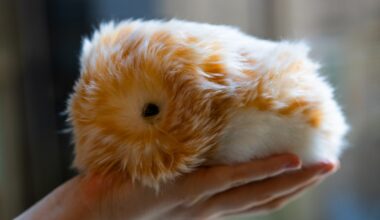 I tested an AI-powered pet designed to 'bring comfort' to Gen Z