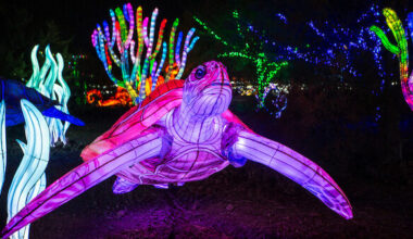 ZooLights is set to return and tickets are on sale now...