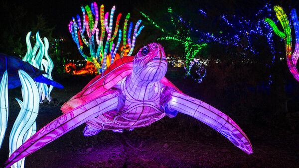 ZooLights is set to return and tickets are on sale now...