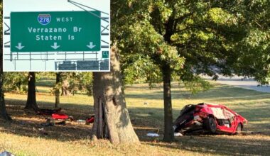 Three young men killed when car flips over median on NYC highway: police