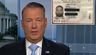 ICE Director Todd Lyons fumes over illegal migrant Anmol Anmol's NY-issued 'No Name Given' driver's license