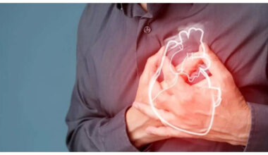 Heart Health :5 drinks that can help prevent artery plaque and keep the heart healthy