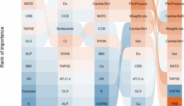 Beyond NT-proBNP and troponin: How machine learning redefines light-chain cardiac amyloidosis risk assessment | BMC Medical Informatics and Decision Making