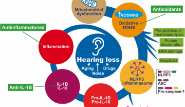 NLRP3 inflammasome and hearing loss: from mechanisms to therapies | Journal of Neuroinflammation