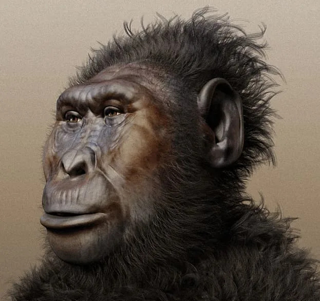 Newly discovered fossils in Kenya reveal that Paranthropus boisei, once seen as a simple plant-eater, had surprisingly human-like hands and feet—rewriting its place in human evolution. (CREDIT: Cicero Moraes / CC BY-SA 4.0)