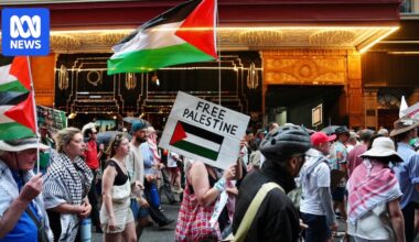 Thousands join pro-Palestinian rallies in towns and cities across Australia amid ceasefire