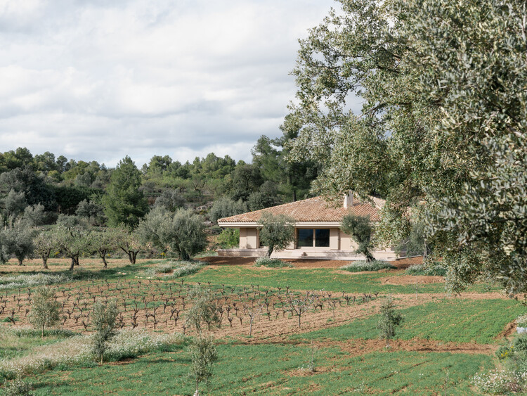 House EF / MDBA architects - Exterior Photography