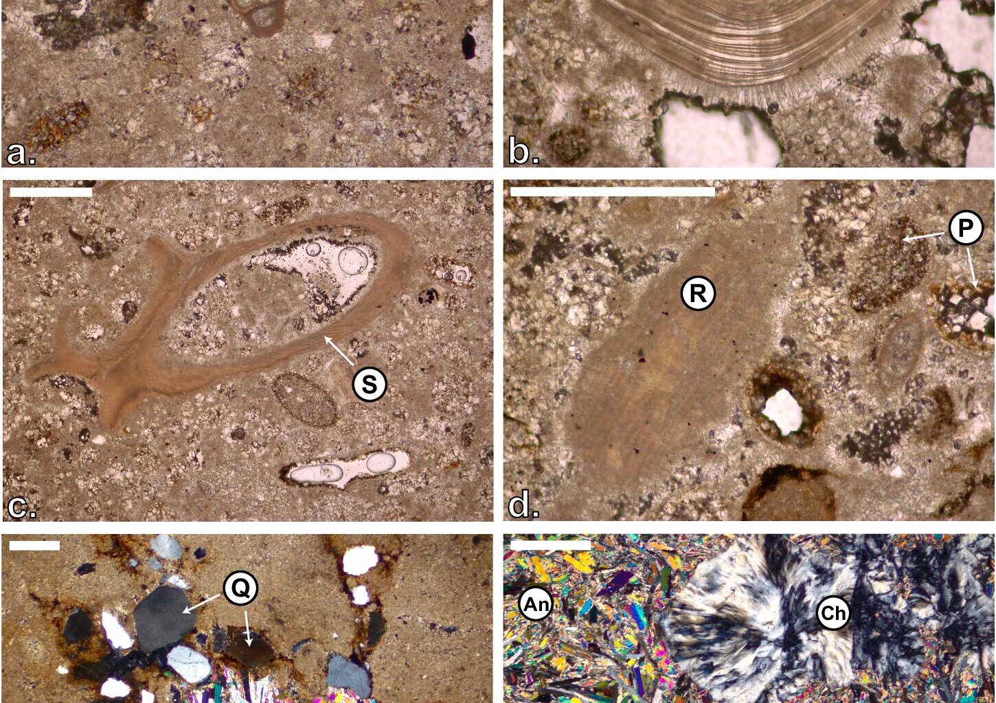 How the Red Sea went completely dry before being flooded by the Indian Ocean over 6 million years ago