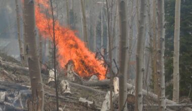 New York state enacts outdoor burn ban until Oct. 15. Here are types of fires that are still permitted.