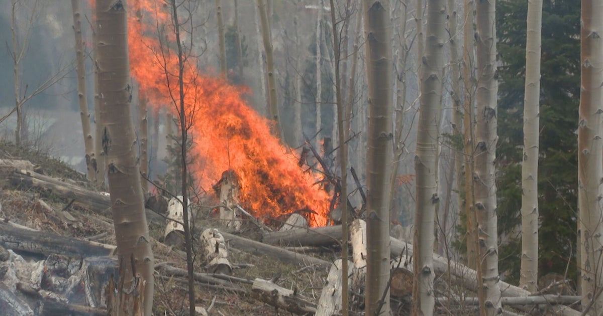 New York state enacts outdoor burn ban until Oct. 15. Here are types of fires that are still permitted.