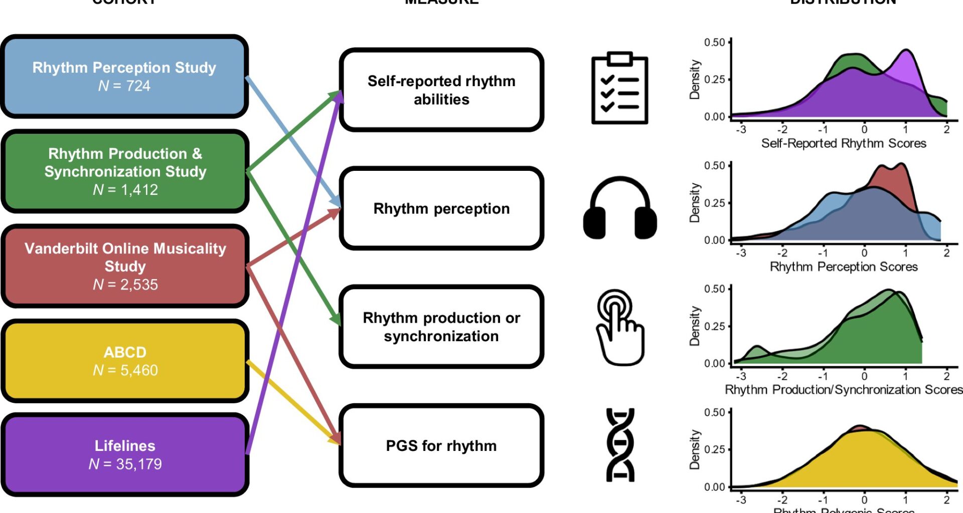 Genetic and behavioral links found between musical rhythm perception and developmental language disorders