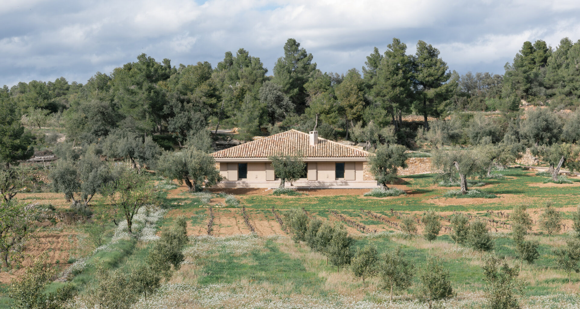 House EF / MDBA architects