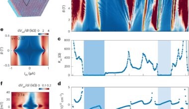 Twisted graphene reveals double-dome superconductivity controlled by electric field