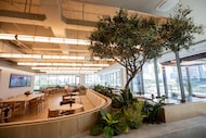 CBRE employees can dine and meet in the RISE Café at the commercial real estate services and...