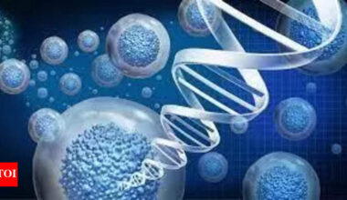 Sindhis on India’s west coast show distinct genetic identity, study finds | Hyderabad News