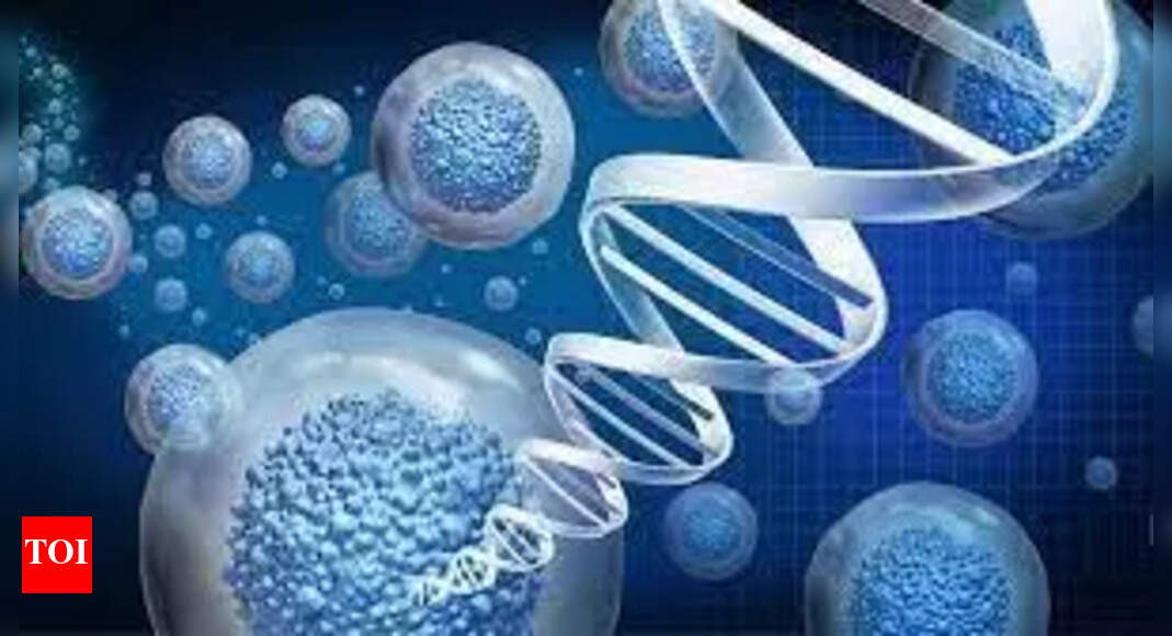 Sindhis on India’s west coast show distinct genetic identity, study finds | Hyderabad News