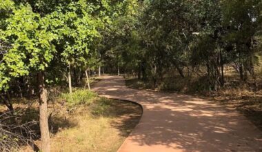 Wolf-like creature stalking San Antonio city parks, viral Reddit post claims