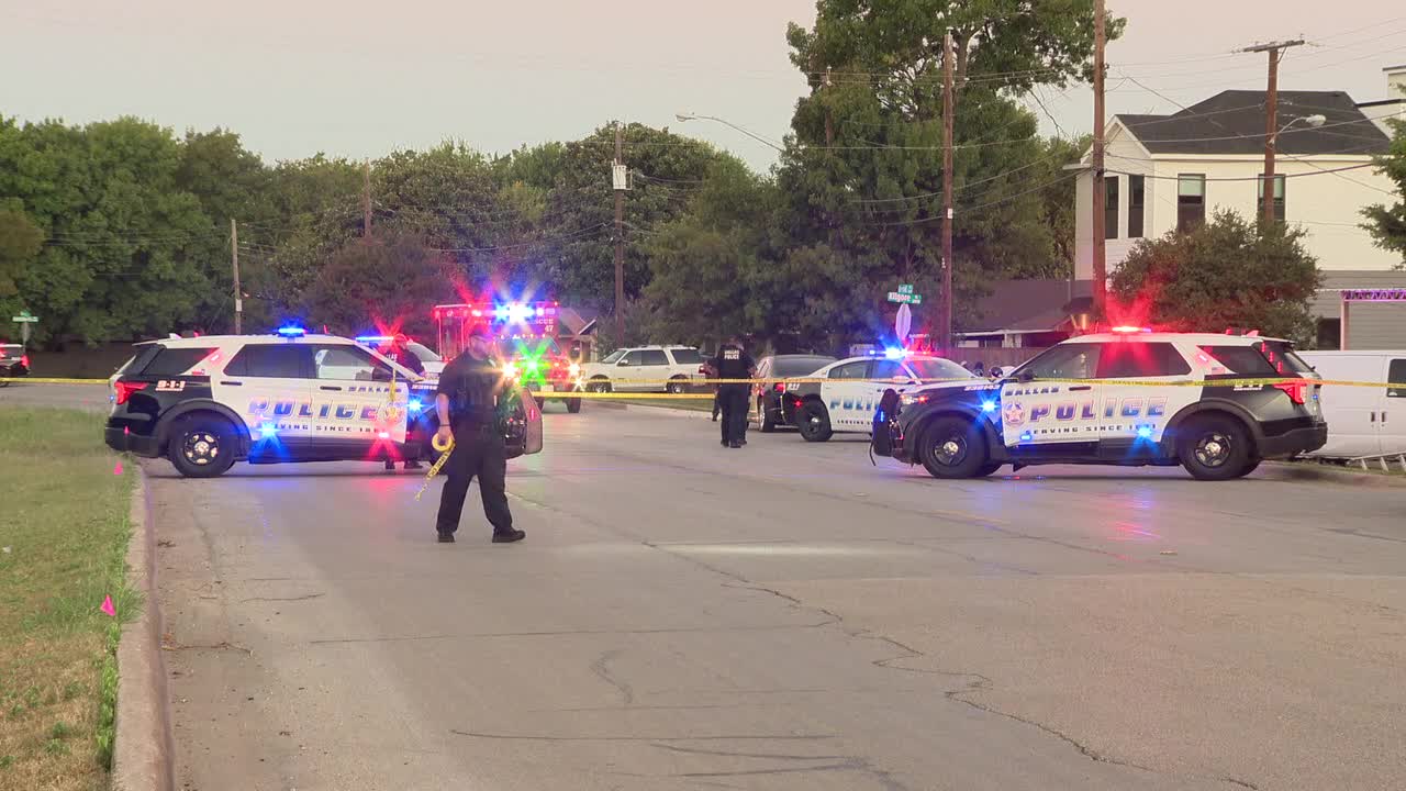Dallas police find three dead after report of shooting