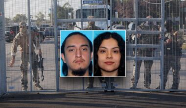 Chicago suspects face federal domestic terrorism charges for attacking DHS