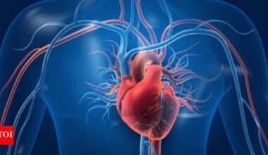 Cardiologist reveals surprising cause of heart failure: No, it’s not high blood pressure or clogged arteries