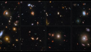 Gravitational lenses imaged by Webb during its first run
