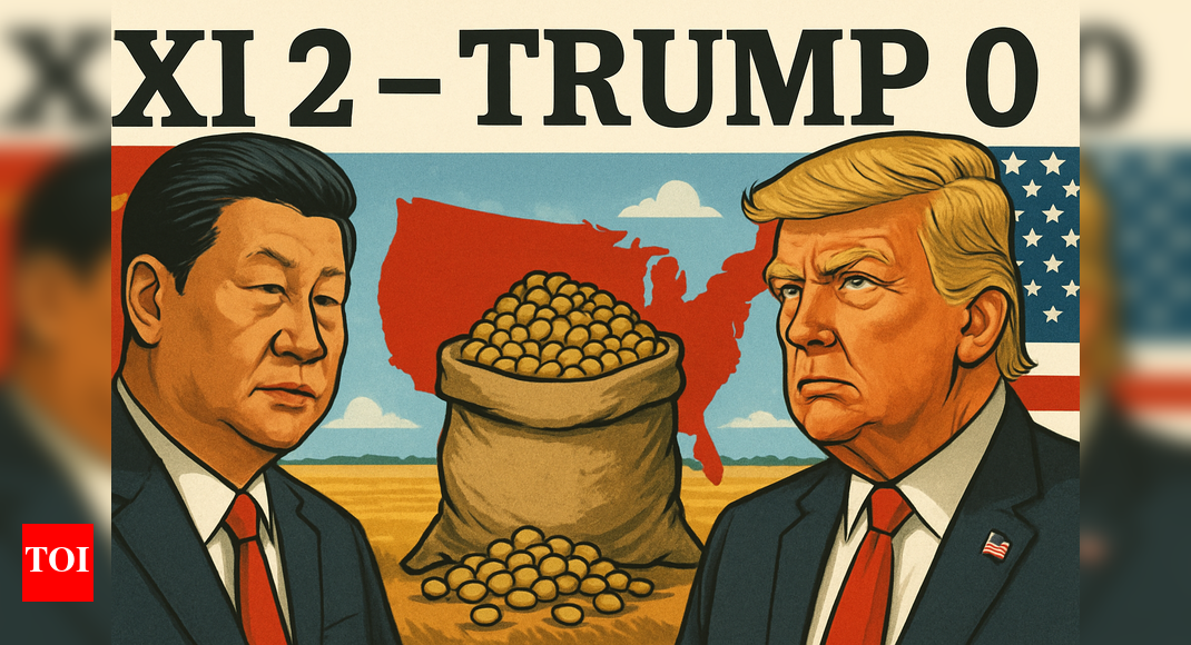 Soybeans are new rare earths: Xi hits Trump where it hurts - US heartland