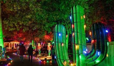 Fort Worth Botanical Garden updates holiday light show