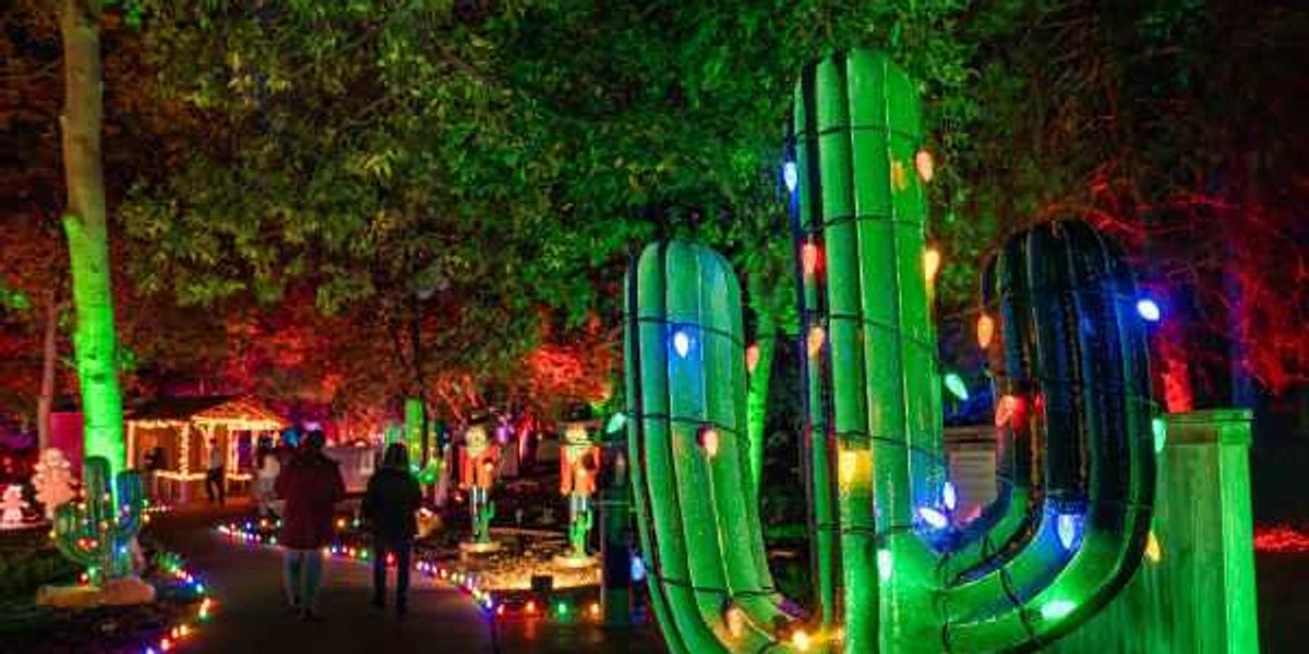 Fort Worth Botanical Garden updates holiday light show