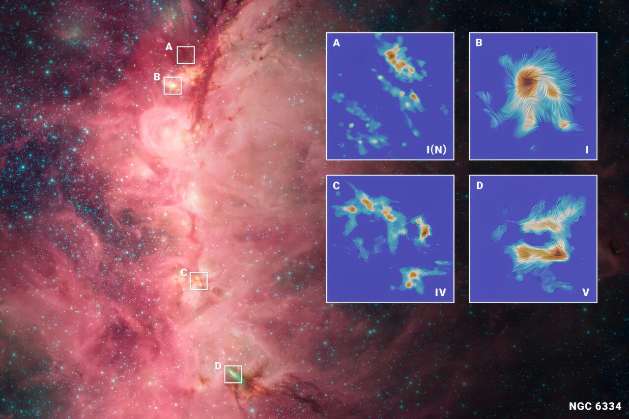 Gravity reshapes magnetic fields in star clusters
