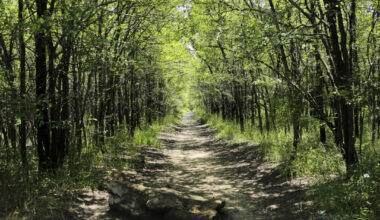 Here’s where you can enjoy nature, outdoor events around Arlington this fall