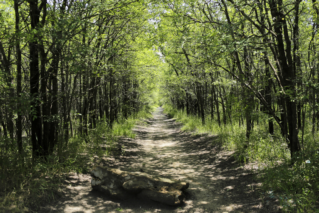 Here’s where you can enjoy nature, outdoor events around Arlington this fall