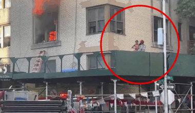 Bronx fire injures 12, including 9 children: Details