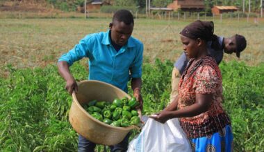 Some recommended US diets carry higher risk of forced labor in food supply chains