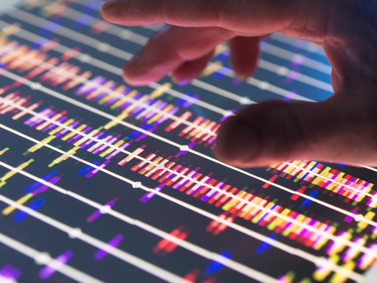 ‘Google for DNA’ brings order to biology’s big data
