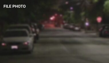 'Ted Bundy used this tactic:' Man accused by multiple women of faking injury to get attention
