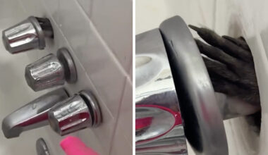Woman Goes To Use Bathroom And Sees A Tiny Hand Reaching Through The Wall
