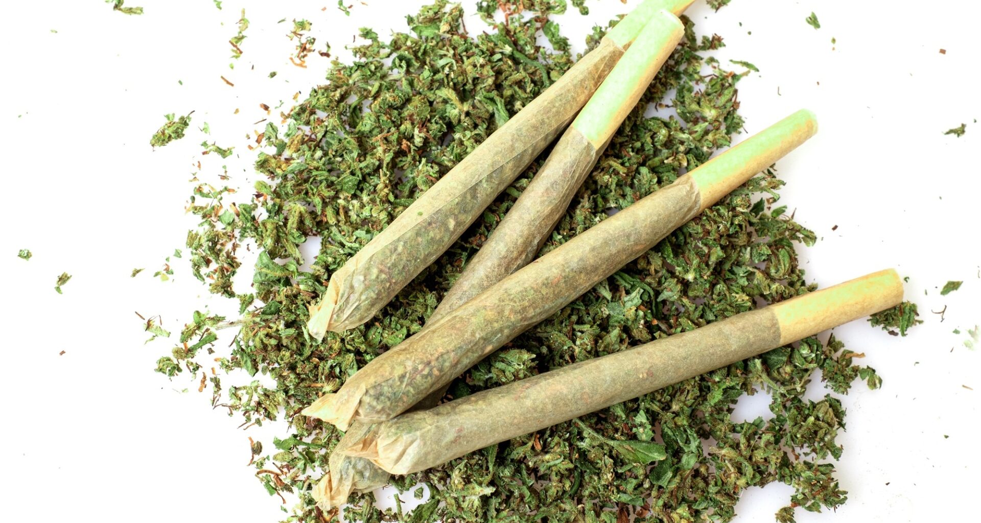High Times Cannabis Cup Comes to New York This Fall
