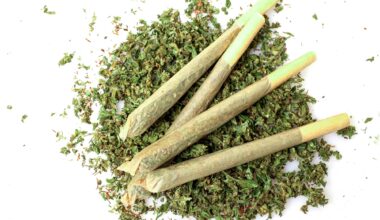 High Times Cannabis Cup Comes to New York This Fall